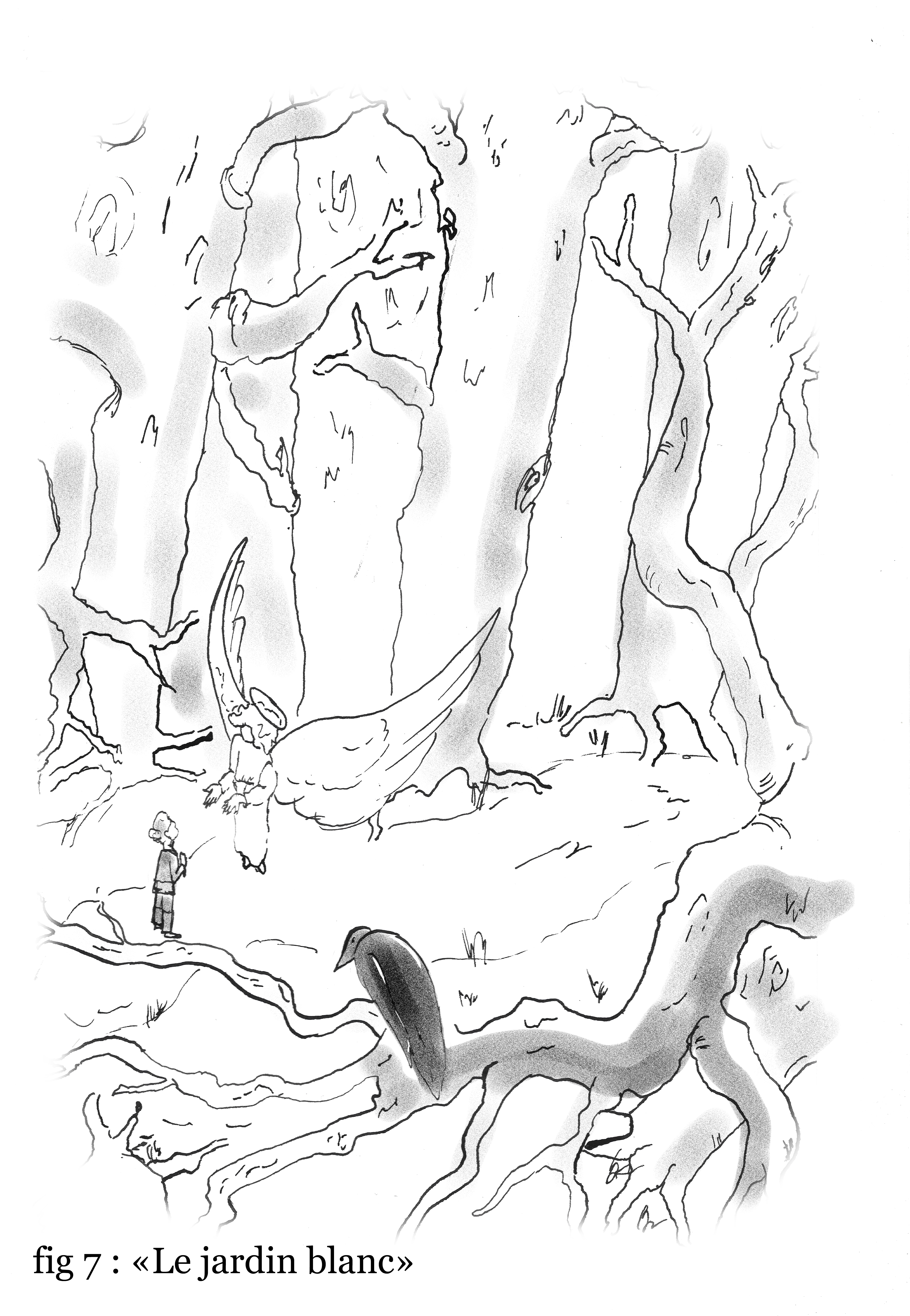 fig 7